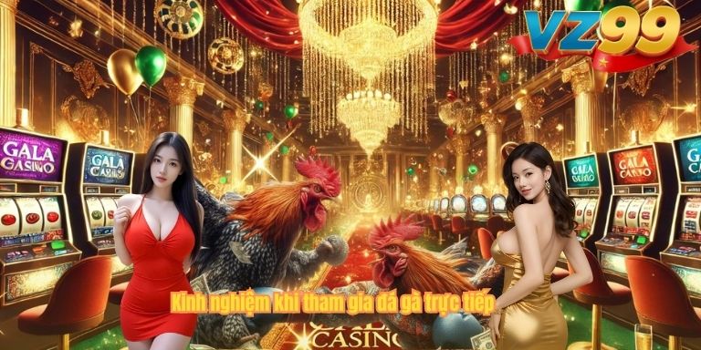 Kinh nghiệm khi tham gia đá gà trực tiếp