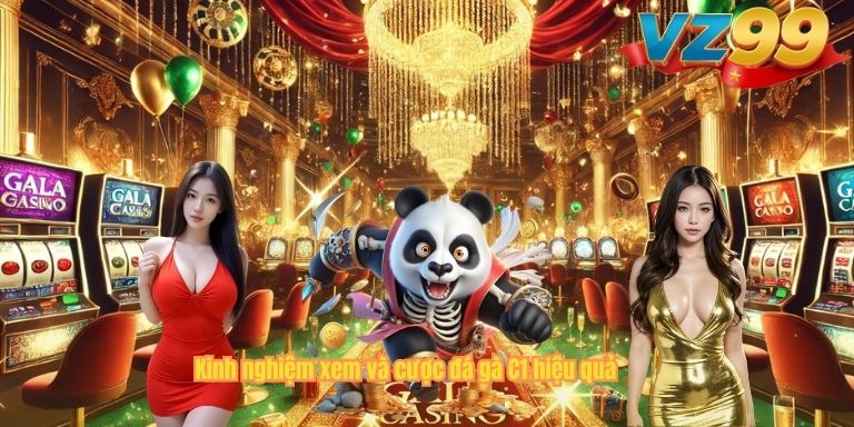 Đá Gà Trực Tiếp C1 VZ88 – Trải Nghiệm Đấu Trường Đỉnh Cao Không Thể Bỏ Lỡ Kinh nghiệm xem và cược đá gà C1 hiệu quả