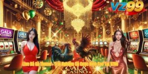 Live Đá Gà Thomo – Trải Nghiệm Cá Cược Đỉnh Cao Tại VZ88
