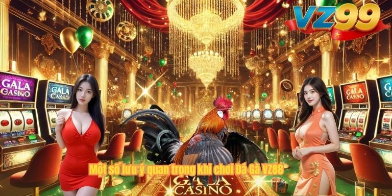 ĐÁ GÀ Một số lưu ý quan trọng khi chơi Đá Gà VZ88