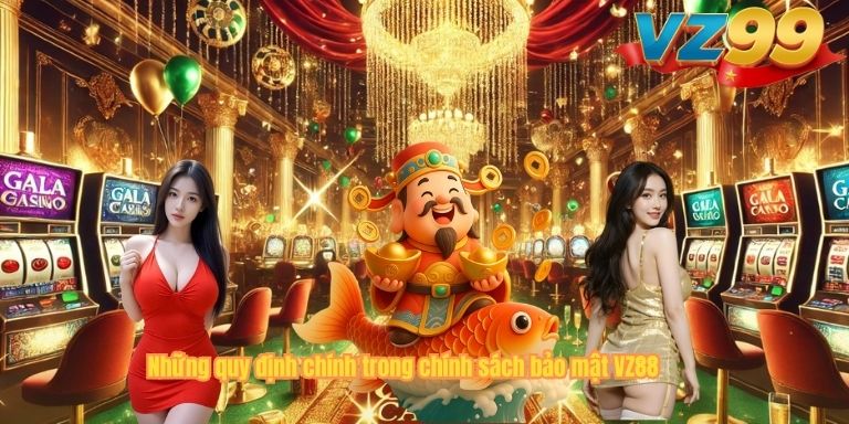 Những quy định chính trong chính sách bảo mật VZ88